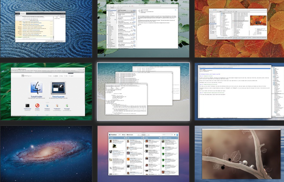 TotalSpaces Mac2.2.9 ٷ