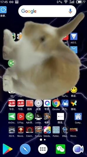 Bunny In Phone Cute jokeĻv 1.1 ׿