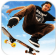 Skate Party 3(峵ɶ3)v1.0.5 ׿