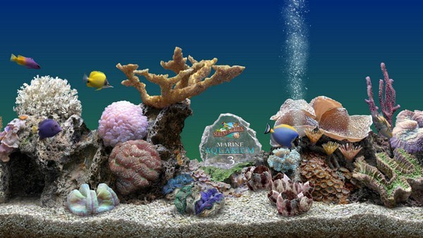 MarineAquarium3