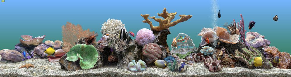 MarineAquarium3v3.2.6066 ٷ