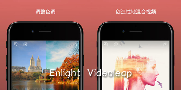 Enlight Videoleap