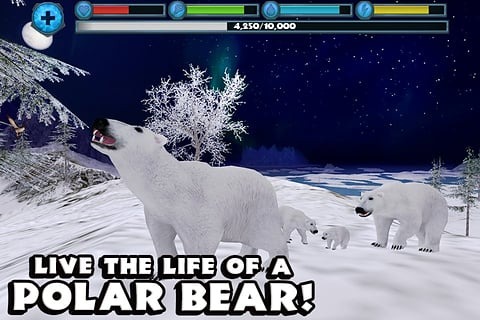 PolarBearSim(ģϷ)v1 ׿