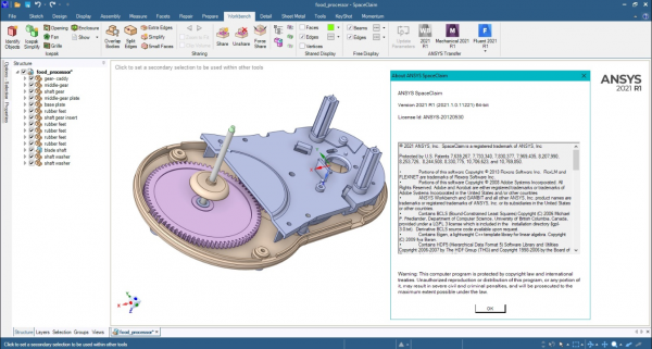 ANSYS SpaceClaim 2021ƽ(ƽⲹ)