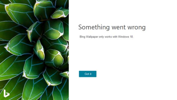 Bing Wallpaperv1.3.2 ٷ