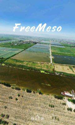 FreeMeso app