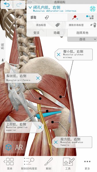 atlas appv2020.0.71 ׿