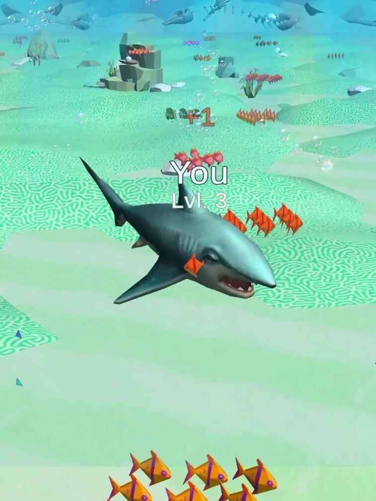 Shark Attack 3D(㹥3D)v2.24 İ