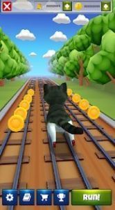 ޾ܵè(Cat Run 3D)v3.0 ׿