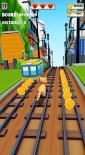 ޾ܵè(Cat Run 3D)v3.0 ׿