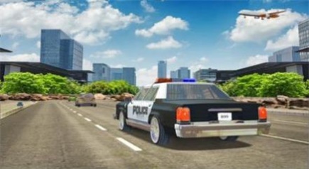 ׷ʻģ(Police Chase Simulator 3D)v1.0 ׿