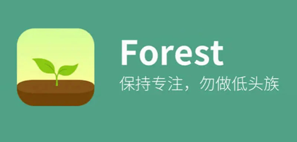 ForestרעɭѰ