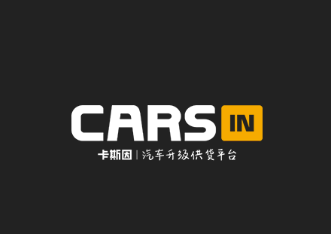 CARSIN˹app