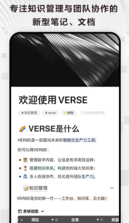 ӡʼVerse app