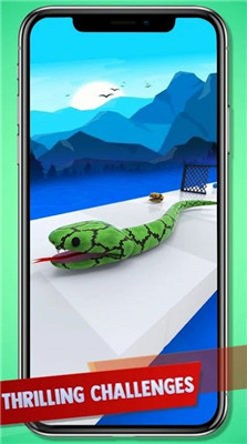 ߳(Crazy Snake Rush)v1.0 ׿