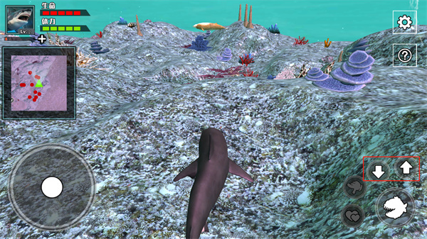 饥饿鲨鱼求生内购版下载 饥饿鲨鱼求生内购版下载