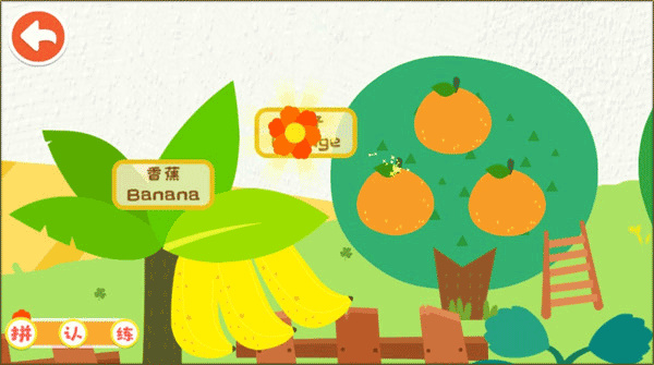 宝宝启蒙认知卡 宝宝启蒙认知卡