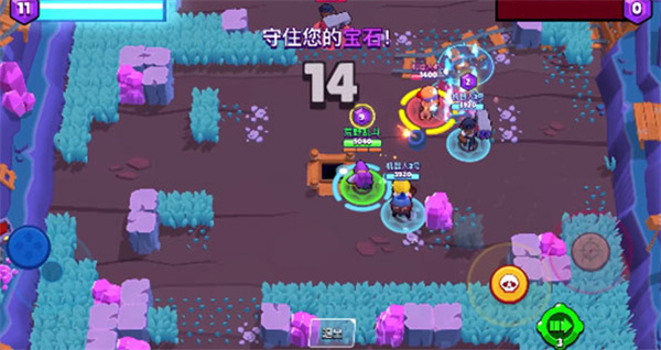 1764129730_8.jpg 1764129730_8.jpg