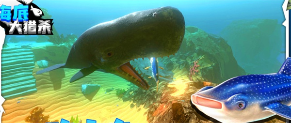 1764635658_0.jpg 1764635658_0.jpg