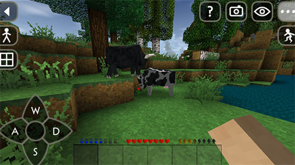 1764581497_4.jpg 1764581497_4.jpg