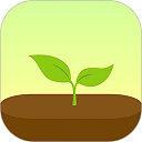 forestרעɭֻv5.1.1