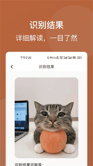 ʶʦv1.0.4 ׿