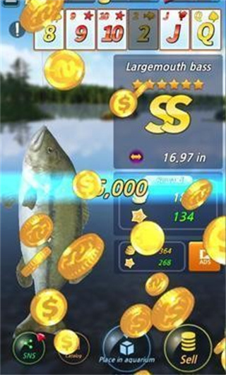 㼾ڹv1.8.28 ׿