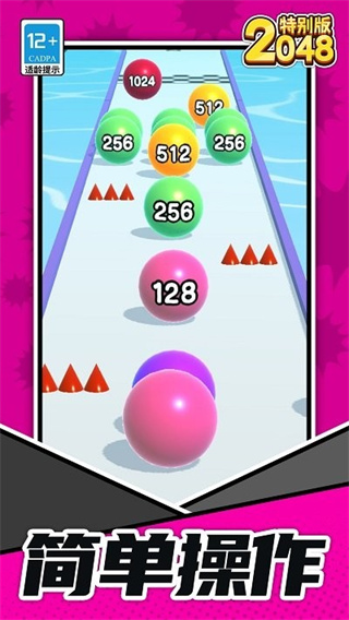 2048رv1.1.1 ׿