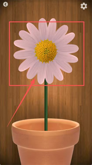 解压屏幕游戏安装 解压屏幕游戏安装