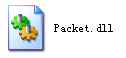 Packet.dll