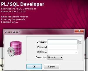 plsql developer9.06.1665 ƽ棨ע룩