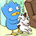 qq