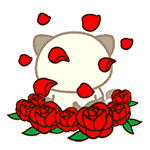 ΢��˧�����������16P