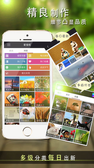 爱壁纸HD iPhone版下载v3.8.6 iPhone6专版