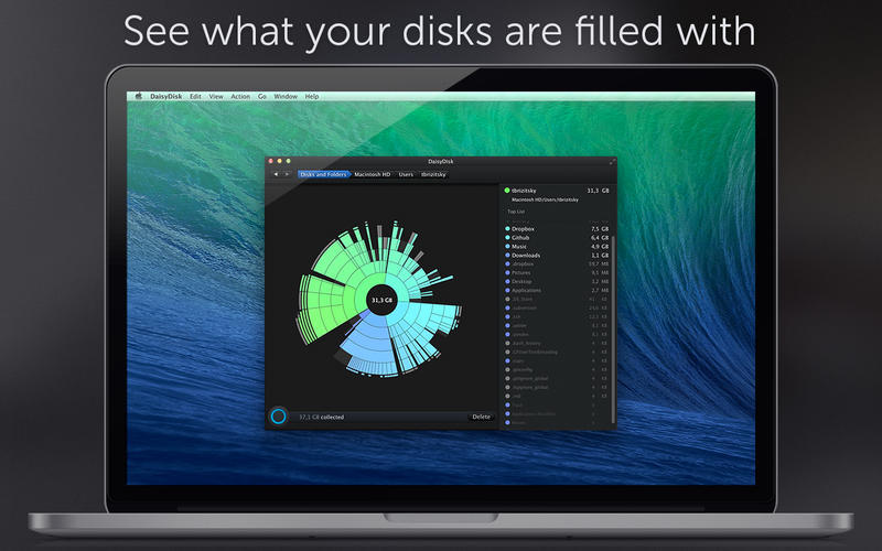 DaisyDisk Mac3.0.3.1 ٷ