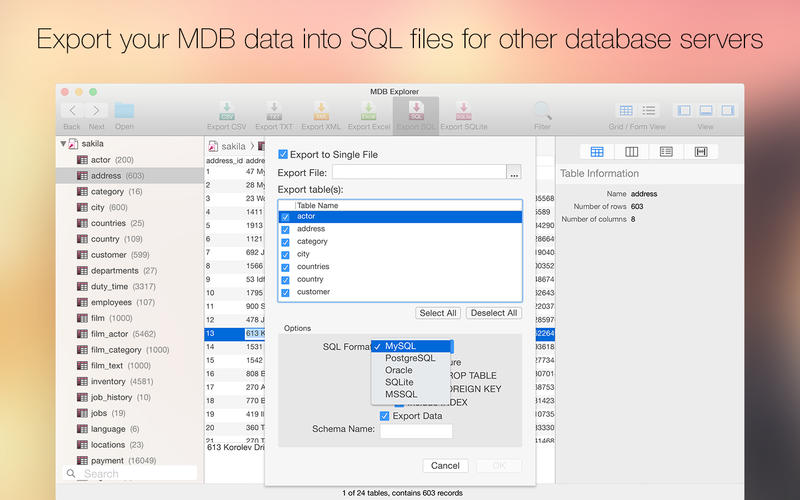 MDB Explorer for Mac2.4.2