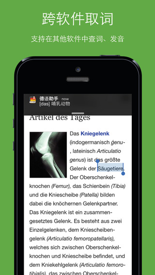 德语助手ios客户端v8.5.2 iPhone/iPad版
