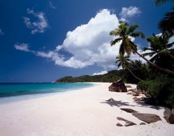 ��ȥ������˵���� QQ�ɳ�������Ȩ��