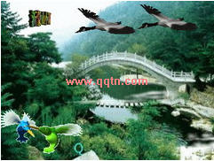 ɽС QQ