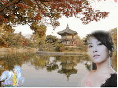 ˮӱ 2010QQ