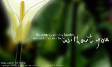 ������Ψ��ǩ��ͼƬ