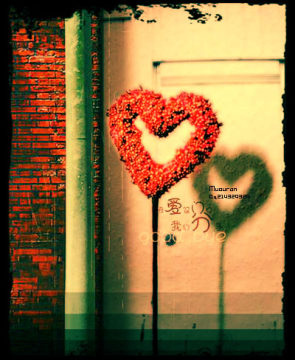 ������Ψ��ǩ��ͼƬ