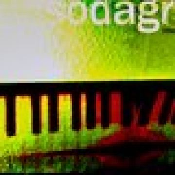 ������ͷ��ͼƬ_www.QQTN.com