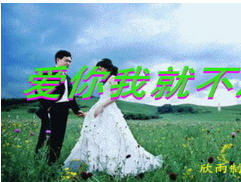 ҾͲ_԰鲻ð