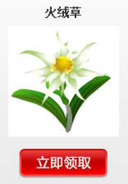 QQ会员QQ农场独享稀有火绒草种子