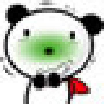 4040