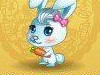 QQõС򴺽ڻ ´ر