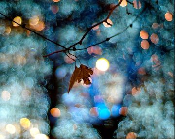 Ư���ڵƻ���ɺ�Ľ�_�λ��⾳�ķ�����QQ�ռ�װ���ز�