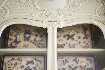 回忆是一种美好的演绎_纯纯爱恋的阳光意境QQ空间图片素材