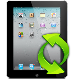 4Media iPad Max Platinum